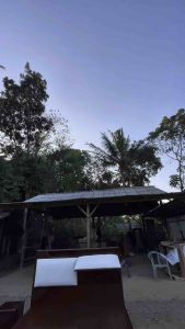 Dipan Laci Tempat Tidur Minimalis Kombinasi Jok Busa Plus 1 Pcs Nakas