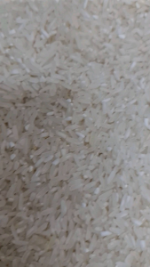Sinandomeng Sticky Rice 25kg bagong ani