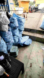 25 x 145 m lubang 2x2cm Jaring pagar ayam atau bebek