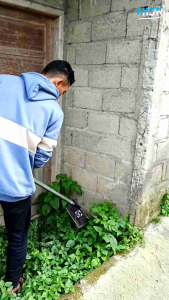 Cangkul garuk rumput / gulma bahan baja gergaji berkualitas pembersih taman kebun