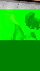 SATU SET RACIK RUAK RUAK PATUNG KAREO SIAP PAKAI UDAH ADA SUARANYA