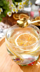 【New Stock 】柠檬干 Dried Lemon Slice 250gm | 500gm | 1000gm