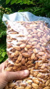 500 Gram Grade B Kacang Sengon Siap Makan Mindik Asli Kedawung Biji Murah Trembesi Kedaung Kedawong  Siap Makan Sangrai