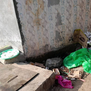 Alat Pelester Tembok Tahan Lama & Berkualitas