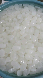 KOLANG KALINH MUDA SUPER MASIH FRESH LANGSUNG DARI PETANI