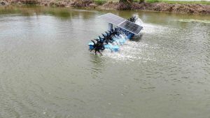 ทุ่นลอยน้ำ8นิ้วทุ่นพลาสติกทุนสำหรับกังหันตีน้ำทุ่นบ่อกุ้งทุ่นบ่อปลารับน้ำได้ถึง35กิโลกรัม ถูกสุด ทุ่นลอยน้ำ ทุ่นลอยน้ํา ทุ่นลอยน้ำ ราคา - Lazada