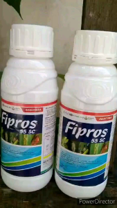 Insektisida FIPROS 55 SC (400ml) ampuh Basmi Hama Walangsangit Wereng semut Rayap kutu Sundep dll