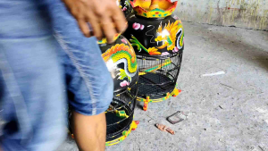 SANGKAR BURUNG MAHKOTA KAYU SUPER KANDANG PERKUTUT LUKIS NAGA MURAH BERKUALITAS - HITAM