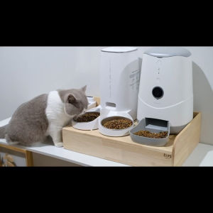 เครื่องอัตโนมัติ โต๊ะอาหารสัตว์เลี้ยง ถ้วยอาหารแมว ขนาดใหญ่พิเศษ สำหรับแบบสองถาด