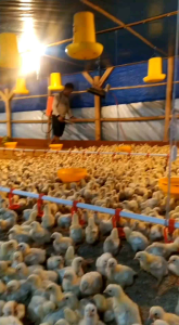 CAP ONTAvitamin Multifungsi: Suplemen Kesehatan untuk Gaya Hidup Aktif