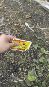 Chế phẩm kiến gián dạng bột
