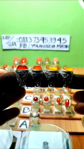 CINCIN PERMATA RAFFLESIA BENGKULU