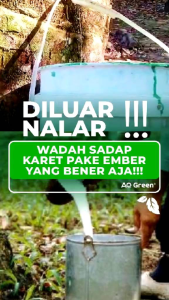 PUPUK AQ GREEN GOLD Pupuk Untuk Mengatasi Asem - Aseman Mempercepat Pertumbuhan Memperbanyak Peranakan Padi Meningkatkan Bobot dan  Hasil Panen dan Menyuburkan Tanah