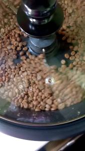 KALINGA CIVET MUSANG COFFEE Premium Brew. Kalingas Finest Civet