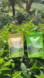 ชาเขียวอู่หลง+ชาเขียวอัสสม ขนาด 100กรัมแพ็ค2 ถุงซิปล็อก ใหม่