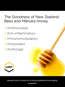 NZ Health Naturally  UMF 15+ 500g Manuka Honey (EXPIRY DATE 19.02.2029) HALAL