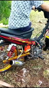 SELINCER DPJ GP1 SARINGAN 1/4 ONLY DM50 UNIVERSAL