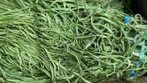 Rau tiến vua sấy khô ( 250gr )