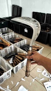 Arit Sabit Rumput Super Tajam 100% Original Baja [SERULIT]