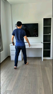 TV Bracket / Single Arm Full Motion Wall Mount For Display Up To 55" Television / Load Capacity below 31kg / Swivel / Turn Left Right / Tilt Up Down / Pull Back To The Wall 2 inch / Smooth and Good Quality (Black)