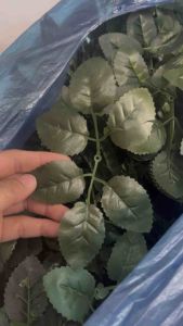 Combo 10 Lá hoa hồng hoặc Lá Ly Ly