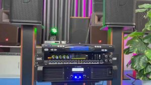 Vang Cơ Lai Số Nex Acoustic FX90Plus Luxury New 2024 Âm Thanh Chuẩn Reverb Mượt Mà Chống Hú Hiệu Quả Đầy Đủ Cổng Kết Nối