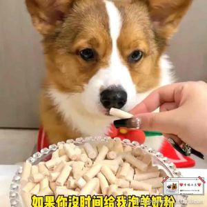 Freeze-dried pet staple food nutrition stick 冻干宠物主食营养棒食品貓狗宠物主食零食pet food snack food Dog Cat Snacks/Makan Kuching hamster
