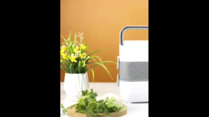 Kotak Makan Lunch Box Elektrik / Kotak Makan Pemanas Elektrik Bento Box 1 Layer - DFH-C01