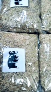 SERBUK SERUT ASLI KAYU PINUS CAP MR. HAMSTER