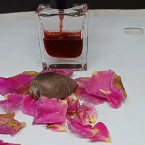 Fosil K10ng Buntet Natural: Dekorasi Interior yang Unik