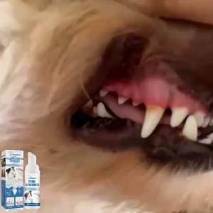 PET ORAL TARTAR REMOVER Pembersihan gigi tartar anjing kucing Pembersihan mulut kucing anjing penjagaan mulut dan gigi haiwan