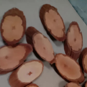 AKAR BAJAKAH KALAWIT MERAH ASLI Kalimantan