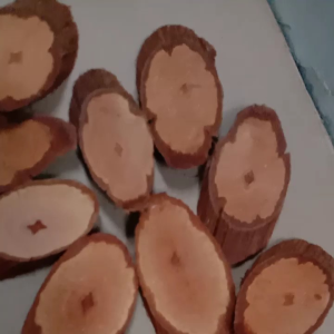 AKAR BAJAKAH Kalawit Merah ASLI KALIMANTAN