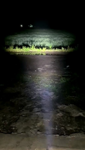 Headlamp Daymaker & Lampu Depan Motor LED