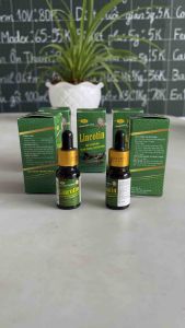Oliver Lincotin 10ml - viêm phổi nội thương tan máu bầm gà đá