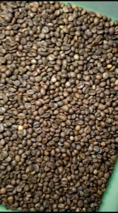 Biji Kopi Robusta Special Asli Temanggung 100 Gr Mofe Roasted Beans / Bubuk / Giling Halus Grade 1