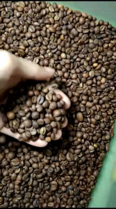 MOFE Kopi Robusta Special Temanggung 200 Gr Medium To Dark Roast Beans / Bubuk Halus Grade 1