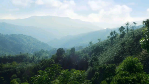 PREMIER နမ့်ဆန် တီးမစ် ช้าสำเร็จรูป