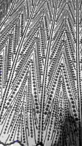 Bahan Tille Squin Payet Piramid: Desain Elegan & Dekorasi Interior