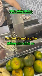 MÁY THÁI LÁT HÀNH PHI  TỎI PHI  TỎI NGÂM GIẤM