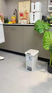 脚踩手按双开盖垃圾桶 (10L)Dual-Lid Trash Can with Foot and Hand Opening#双开盖垃圾桶，它不仅可以用手开盖，还可以脚踩开盖✨，扔垃圾方便又省事#生活好帮手 #脚踩式垃圾桶 #10L垃圾桶