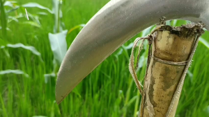 Sabit Baja Asli Super Tajam Cap Bintang 3