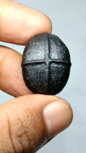 Batu Badar Besi Tapak Jalak Timbul Nempel Magnet