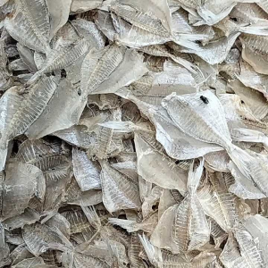 Ikan Asin Kapasan Tawar Ada Tulang Super