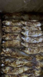 Ikan Asin Peda Merah kecil