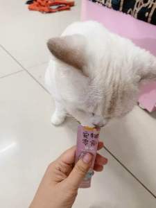 50 Thanh Súp thưởng Shizuka cho mèo thanh 15g - Xúc Xích Thức ăn cho mèo ( Siêu Rẻ )