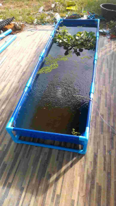 กระชังบกบ่อผ้าใบ PE 200 Super หนา 0.35 มิลลิเมตรน้ำหนักเบา ติดตั้งง่ายราคาไม่รวมโครง