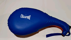 TARGET TENDANGAN TAEKWONDO DOUBLE