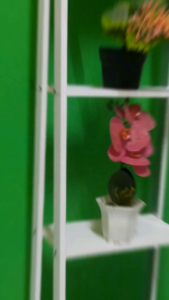 Rak Lantai Praktis & Fleksibel: Serbaguna 4 Susun & Variasi Warna