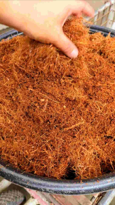 Raw and Unscreened Coco Peat 5 kgs - (Php120)